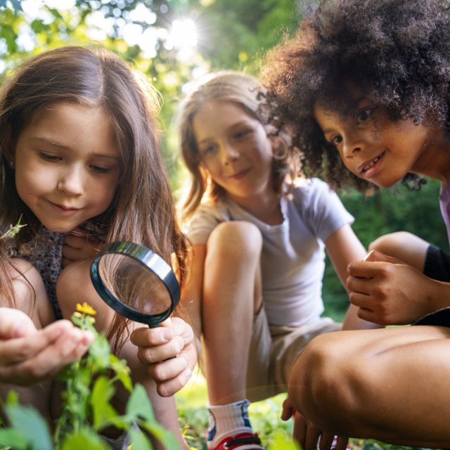 ECOLOGIA E BIODIVERSITA_