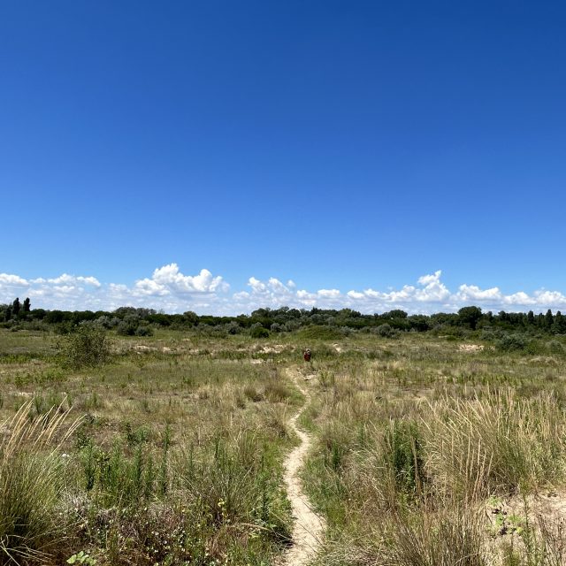 ESPLORAZIONE TRA LE DUNE