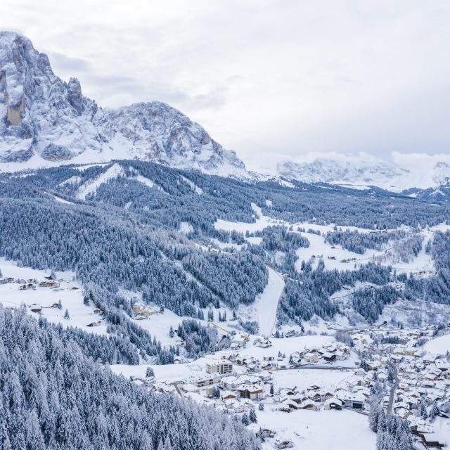 A beautiful scenery of a forest in the snowy Alps in winter