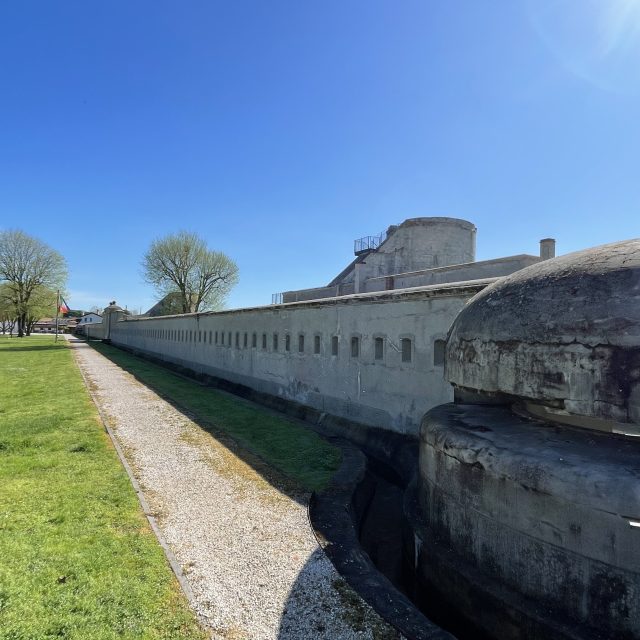 La grande guerra in Laguna 5