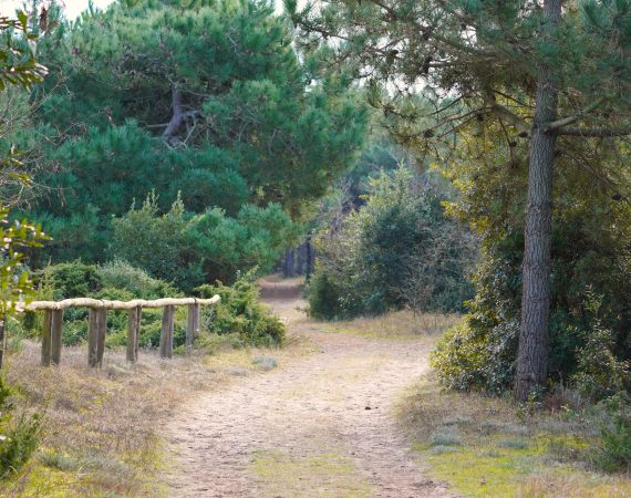 Bike&Hike: Lido e Alberoni 2