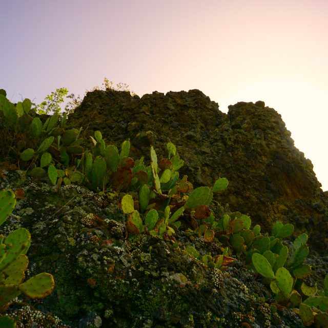 Monte Ceva