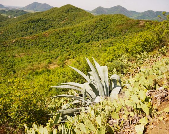 MONTE CEVA 4