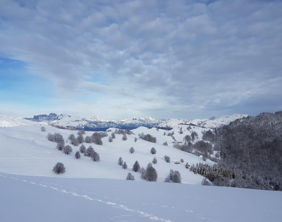 Il Gran Bosco da Reme 5