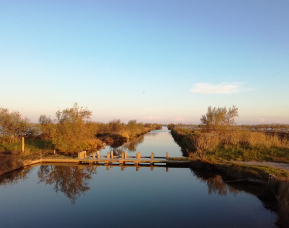 Isola Falconera: Memorie sommerse 5