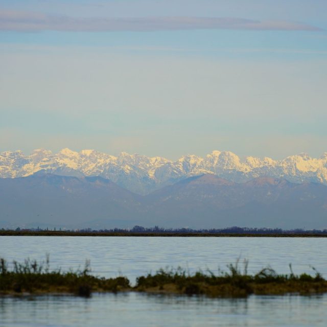 Venice Lagoon