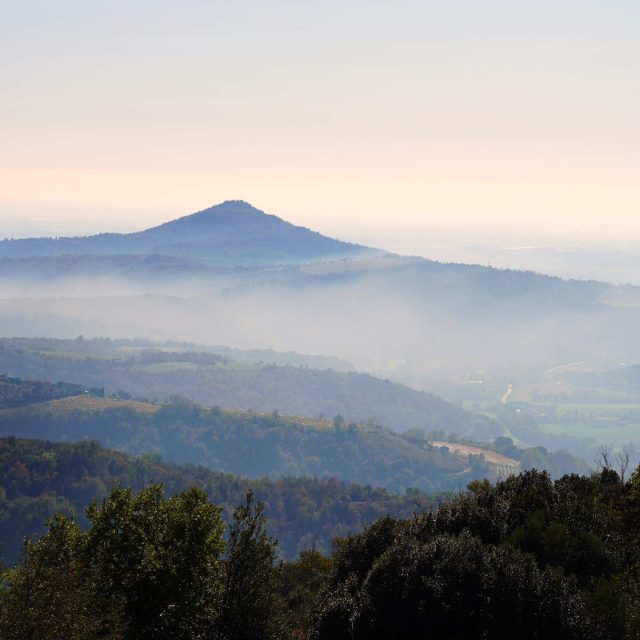 Euganean Landscapes