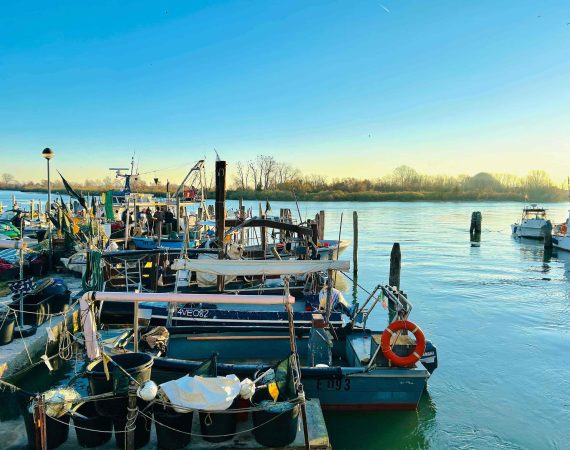 Pesca, Erosione e Guerra 4