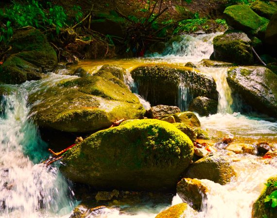 Acqua e Roccia