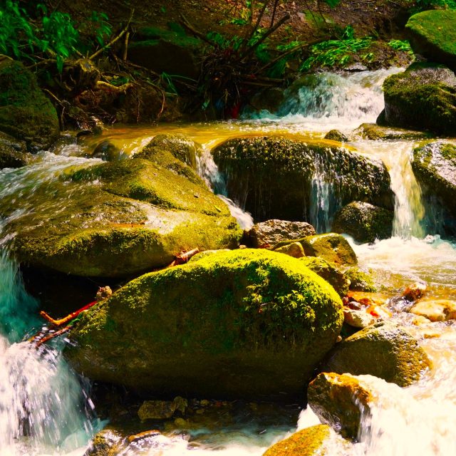 Wasser und Felsen