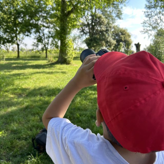 birdwatching1