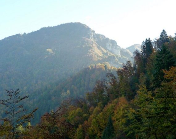 SENTIERO-DEI-FOJAROI-nuova