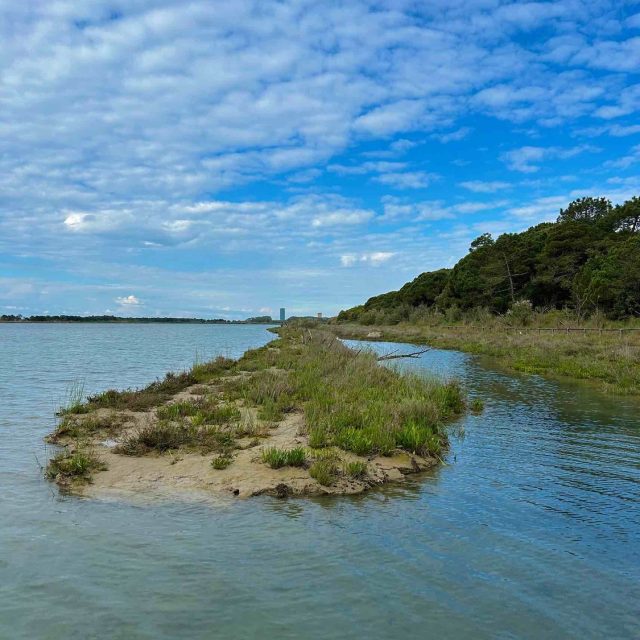 Uscita didattica Laguna del mort