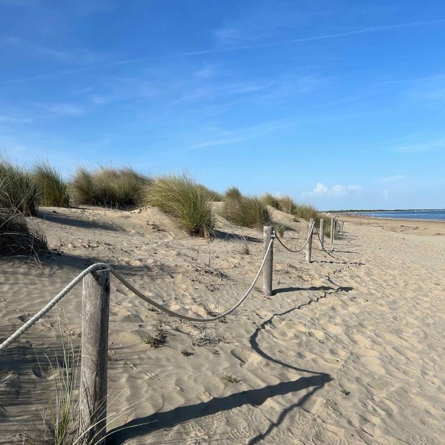 Dune1