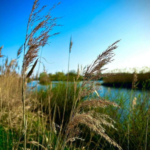 orientamento fluviale1_11zon