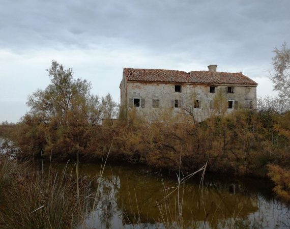 Isola dei falchi 5