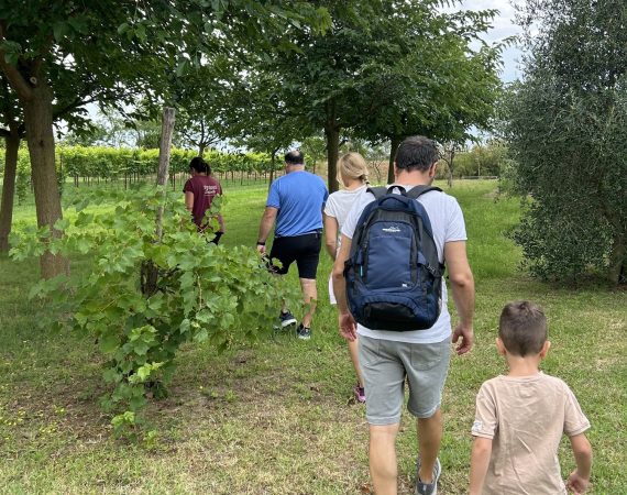 Pedalando tra le valli di lio piccolo 5