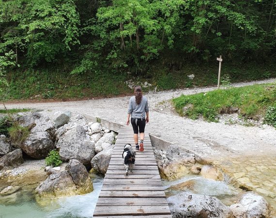 Le sorgenti del torrente Stien 4