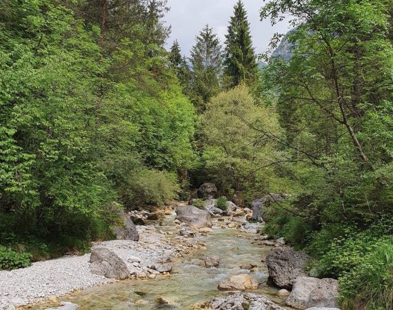 Le sorgenti del torrente Stien 6