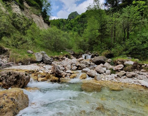 Le sorgenti del torrente Stien 5