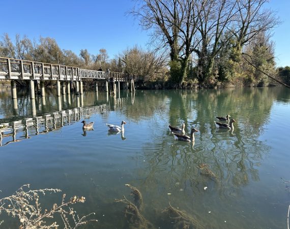 Bike&Hike: Fiume Sile e Treviso 3