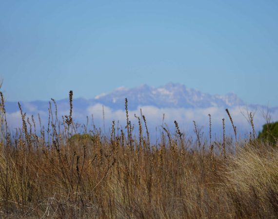 Valle Vecchia 6