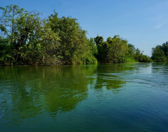 Le sorgenti del Sile 3