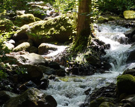 Acqua e Roccia 6