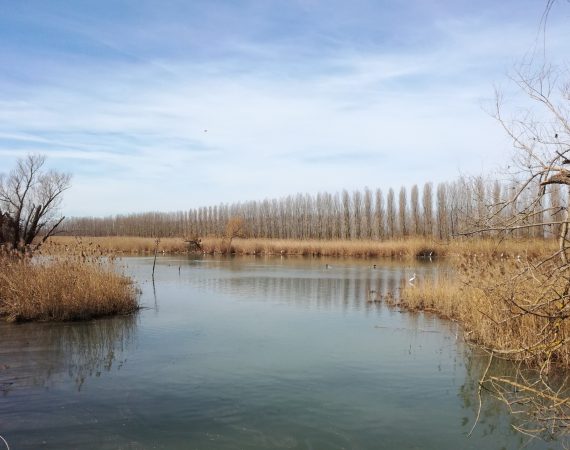 sile
