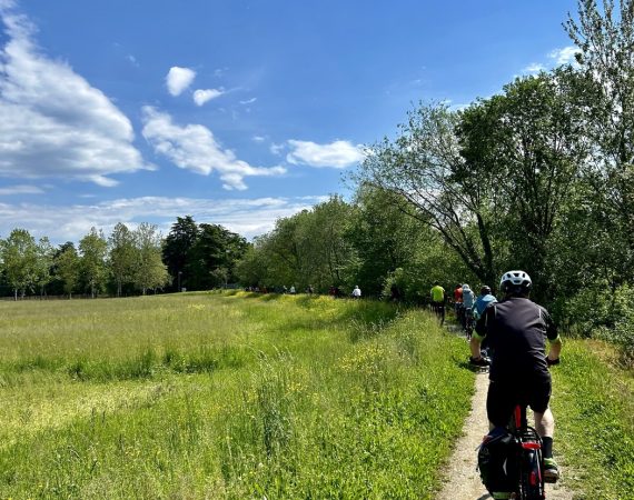 Le sorgenti del Sile 2