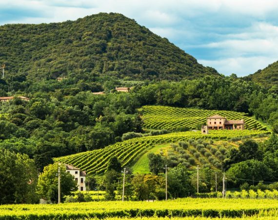 Montello: Paesaggi acquatici nel bosco dei Dogi
