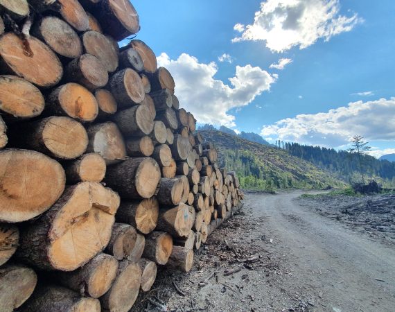 Nel cuore del Cadore 6