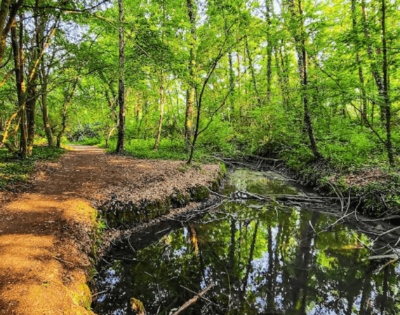Le sorgenti del fiume silente