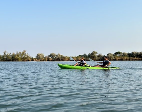Isola Falconera: Memorie sommerse