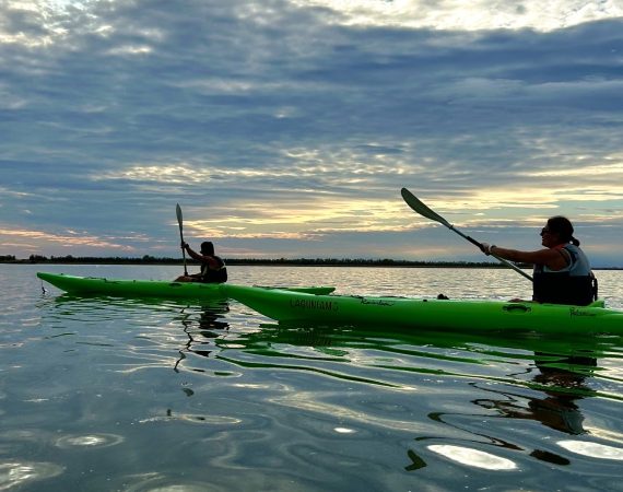 Isola Falconera: Memorie sommerse 4