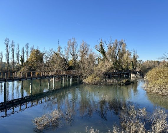 Bike&Hike: Fiume Sile e Treviso