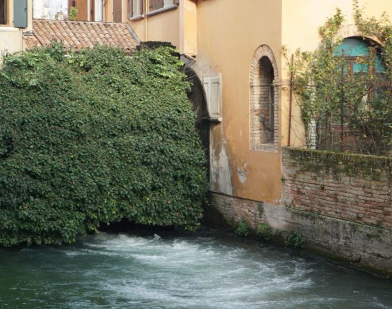 Bike&Hike: Fiume Sile e Treviso 6