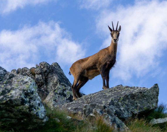 Torrente Cordevole: Le antiche vie del rame 4