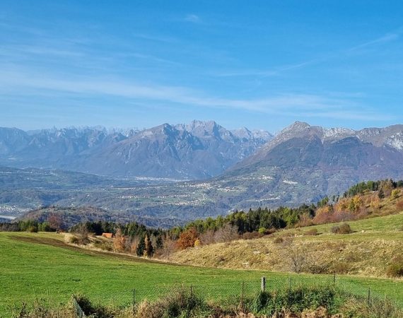 Il Gran Bosco da Reme 3