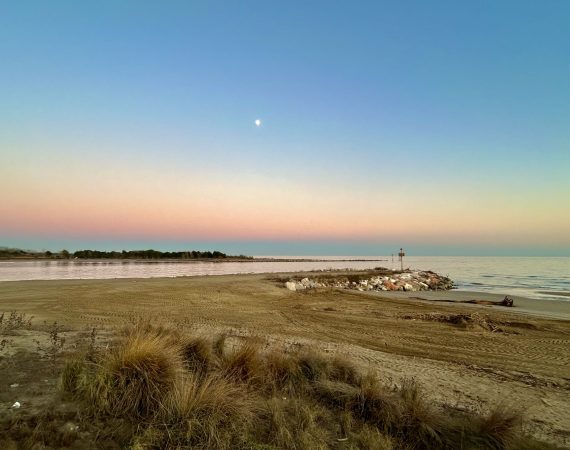 Pesca, Erosione e Guerra 2