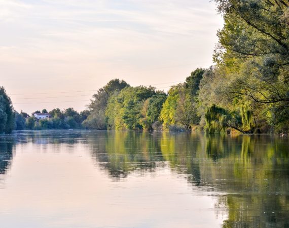 Riviera del Brenta: Le acque di Venezia