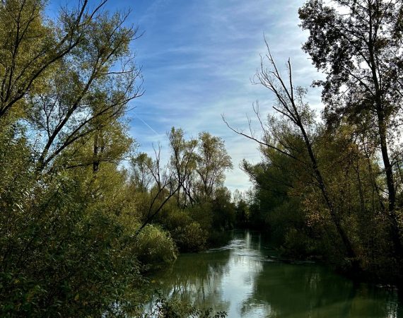 Le sorgenti del Sile 6