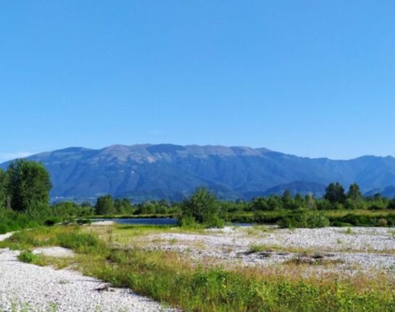 Montello: Paesaggi acquatici nel bosco dei Dogi 4