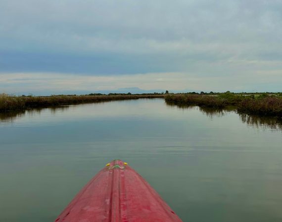 kayak