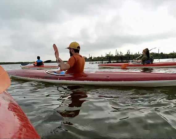 kayak remiera 6