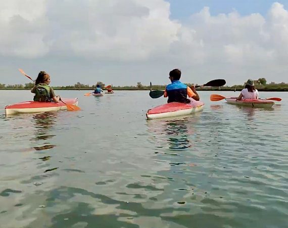 kayak remiera 7